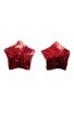 Nipple covers rosii model stea